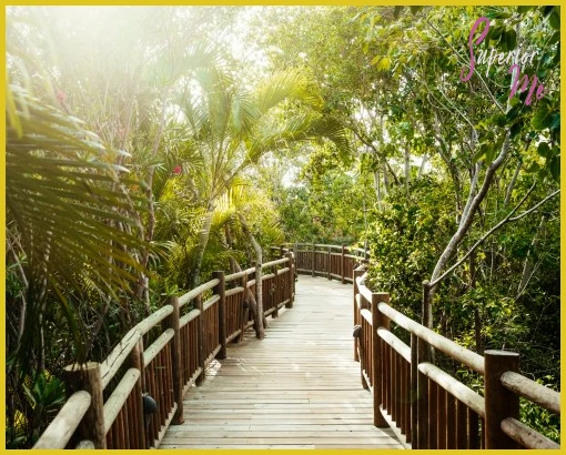 Mayan Palace at Vidanta Riviera Maya