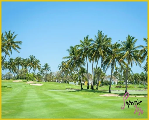 The Grand Mayan at Vidanta Acapulco