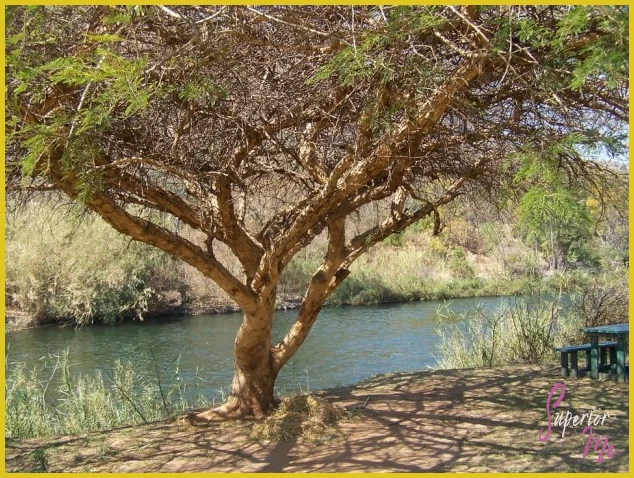 Mount Amanzi